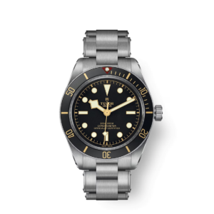 Tudor Black Bay 58 - 39 mm
