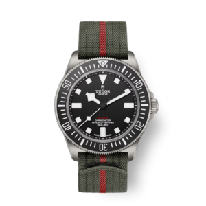 Tudor Pelagos FXD - 42 mm